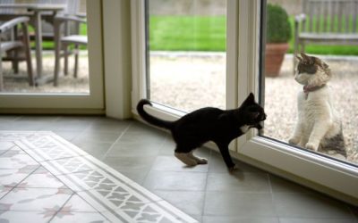 Ventanas termopanel: conoce sobre aislamiento térmico y acústico
